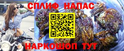 гидропоника Гусь-Хрустальный