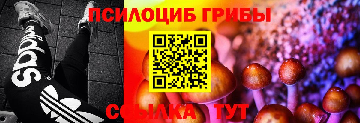Моздок  Псилоцибиновые грибы Cubensis  Вход с VPN 
